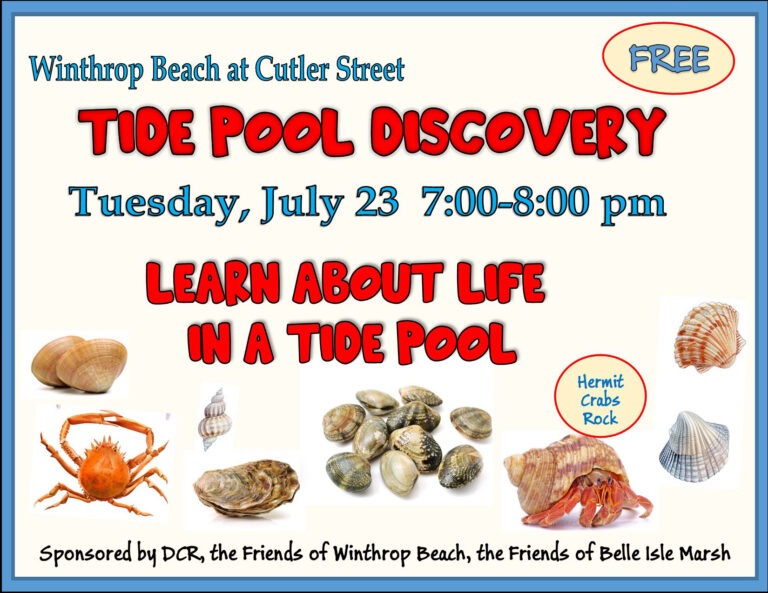 Tide pool flyer July 23 event