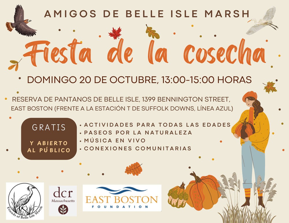 Spanish flyer for October 20 Harvest Festival, including graphics